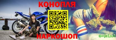 стафф Пенза